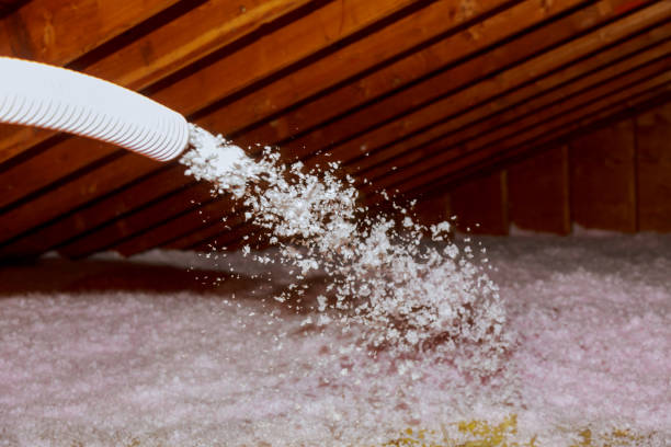 Best Insulation Maintenance and Repair in Montezuma, GA