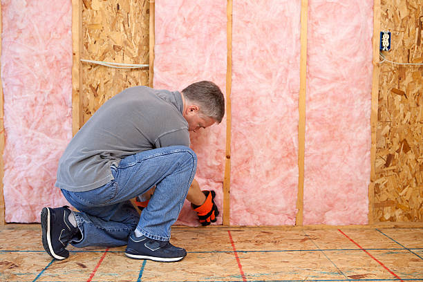 Best Geographic-Specific Insulation Services in Montezuma, GA