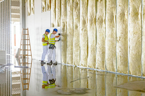 Types of Insulation We Offer in Montezuma, GA